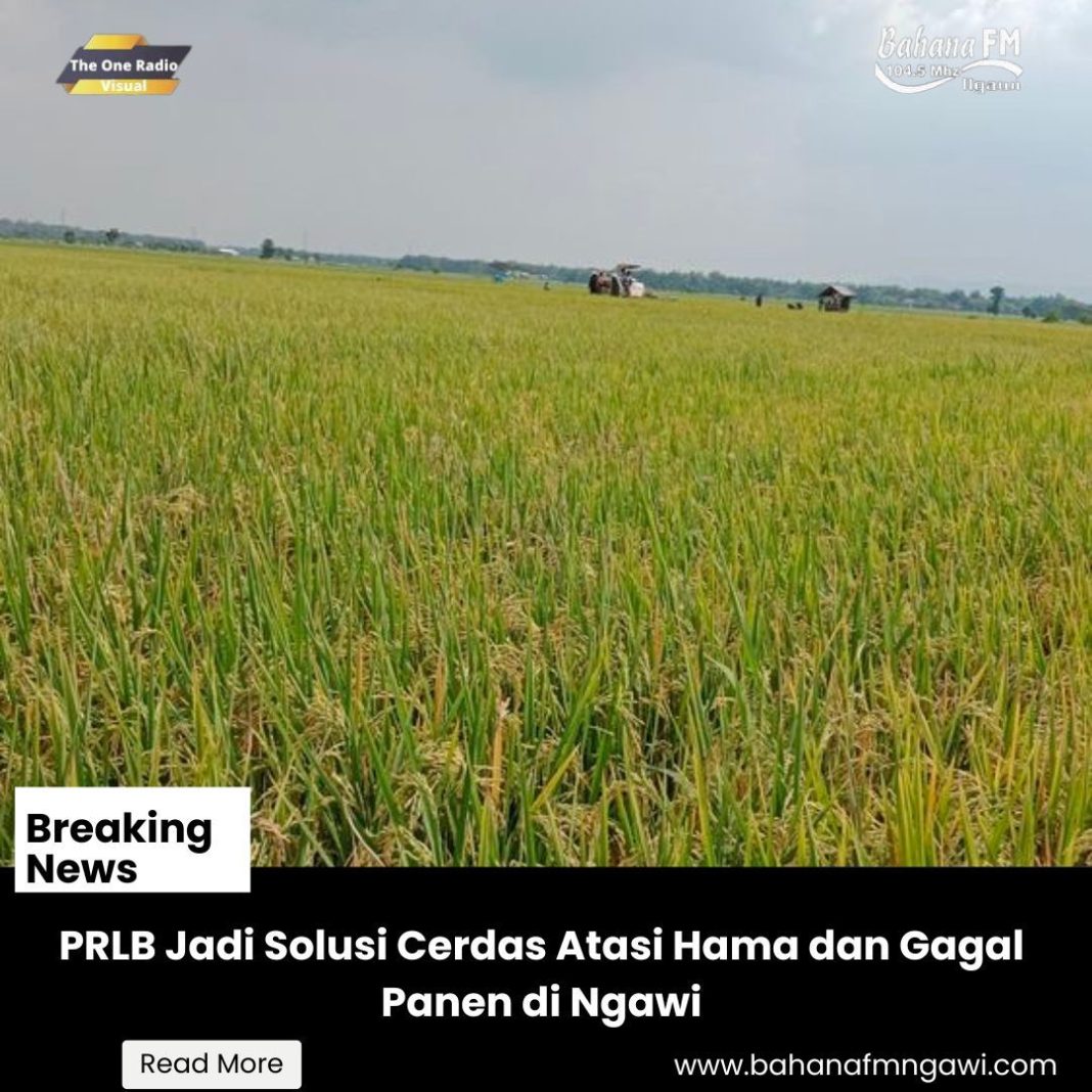 PRLB Jadi Solusi Cerdas Atasi Hama dan Gagal Panen di Ngawi