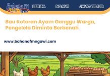 Bau Kotoran Ayam Ganggu Warga, Pengelola Diminta Berbenah