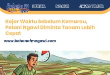 Kejar Waktu Sebelum Kemarau, Petani Ngawi Diminta Tanam Lebih Cepat
