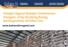 Pelajar Ngawi Belajar Ketahanan Pangan, Intip Gudang Bulog Berkapasitas 42 Ribu Ton