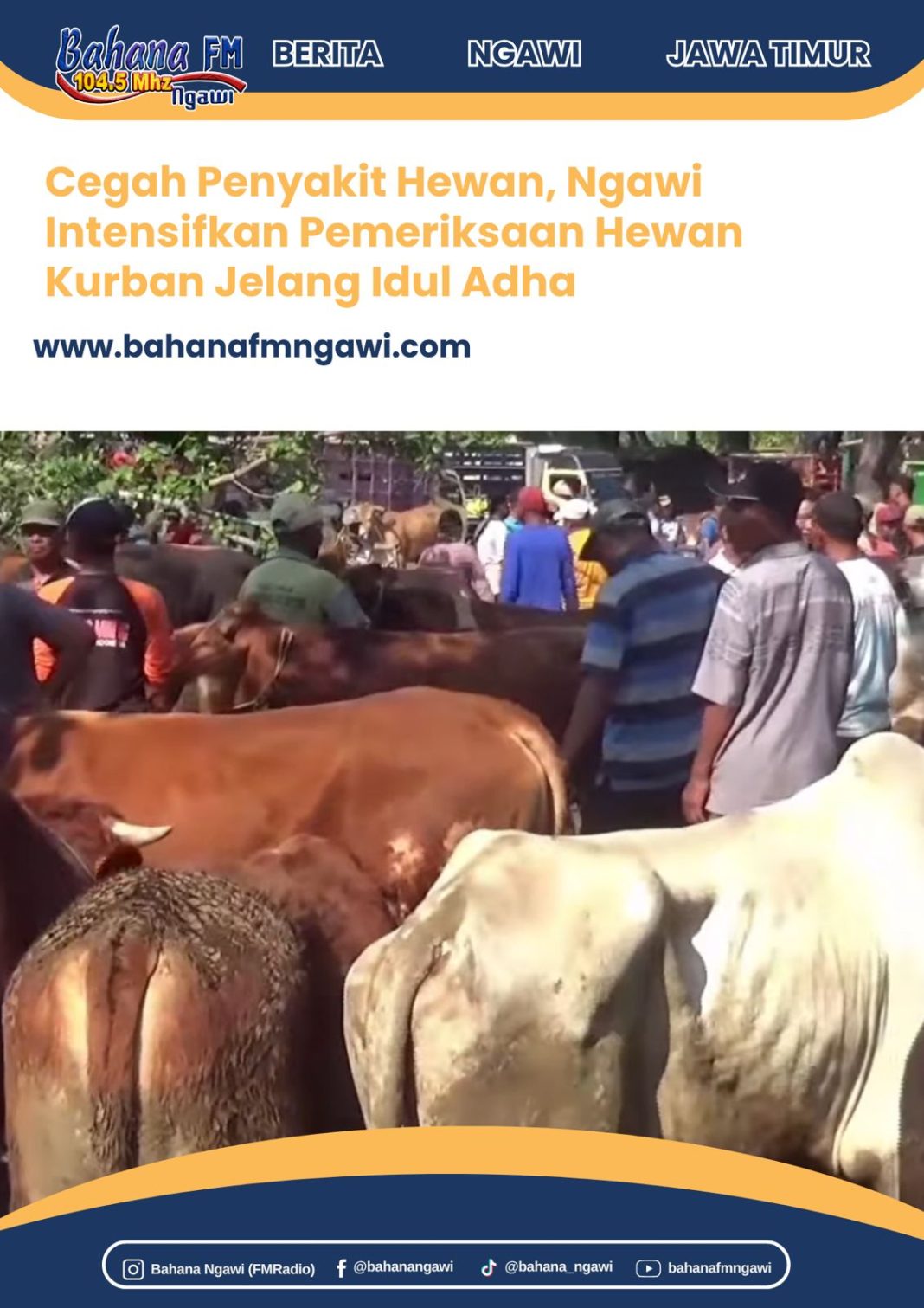 Cegah Penyakit Hewan, Ngawi Intensifkan Pemeriksaan Hewan Kurban Jelang Idul Adha