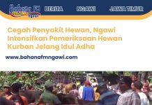 Cegah Penyakit Hewan, Ngawi Intensifkan Pemeriksaan Hewan Kurban Jelang Idul Adha