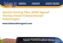 Musim Kering Tiba, BPBD Ngawi Pantau Ketat 11 Desa Rawan Kekeringan