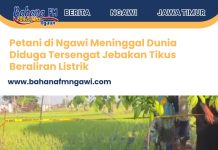 Petani di Ngawi Meninggal Dunia Diduga Tersengat Jebakan Tikus Beraliran Listrik