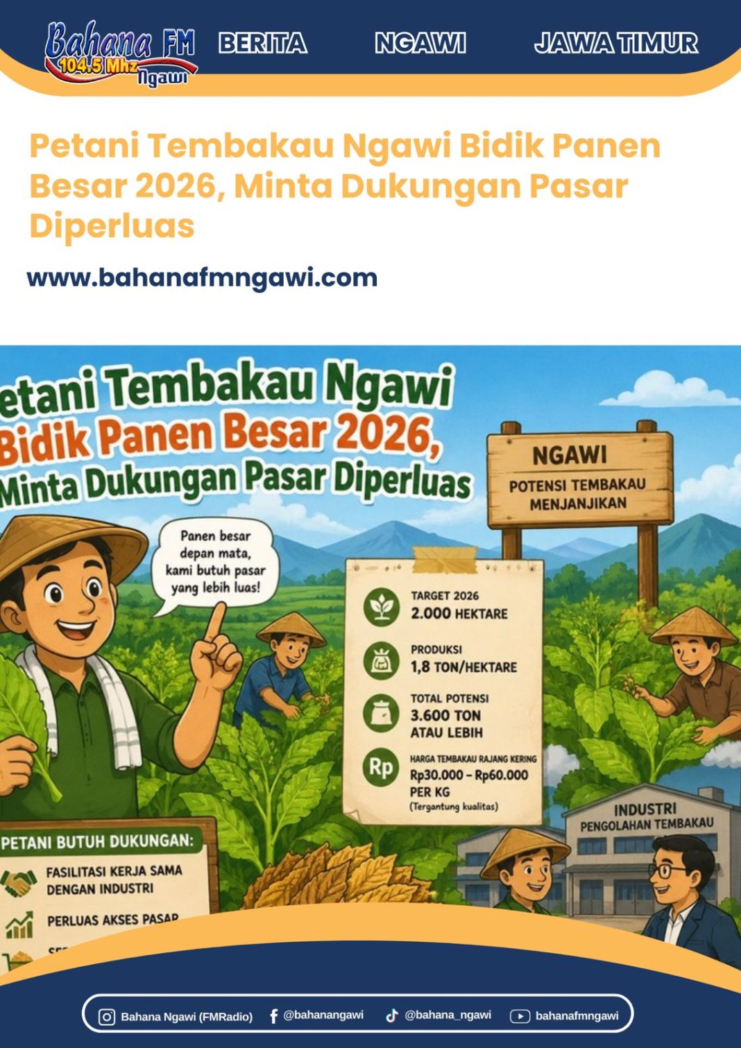 Petani Tembakau Ngawi Bidik Panen Besar 2026, Minta Dukungan Pasar Diperluas