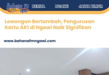 Lowongan Bertambah, Pengurusan Kartu AK1 di Ngawi Naik Signifikan