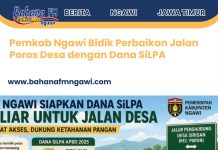 Pemkab Ngawi Bidik Perbaikan Jalan Poros Desa dengan Dana SiLPA