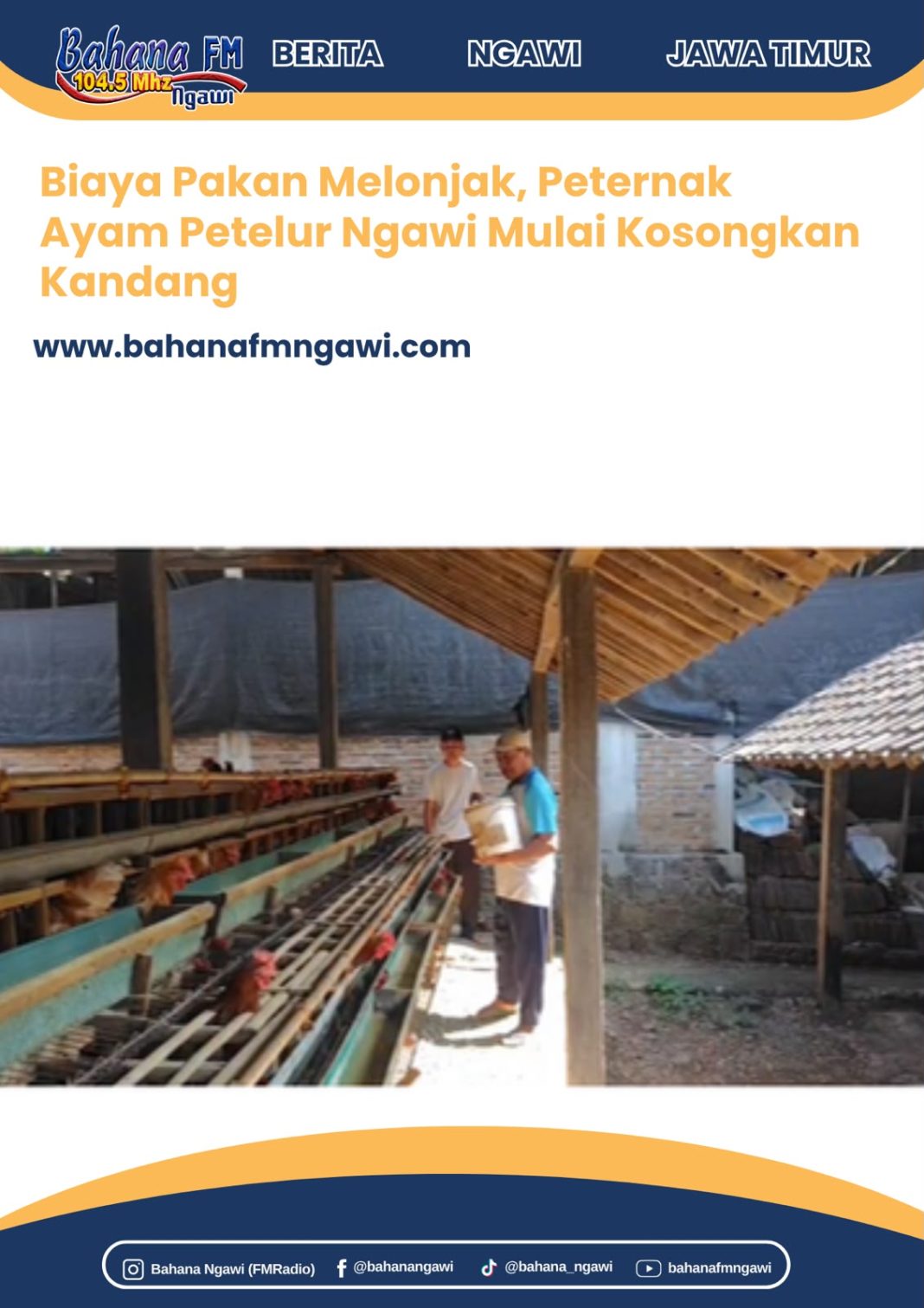 Biaya Pakan Melonjak, Peternak Ayam Petelur Ngawi Mulai Kosongkan Kandang