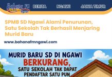 SPMB SD Ngawi Alami Penurunan, Satu Sekolah Tak Berhasil Menjaring Murid Baru