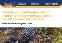 Aksi Mendahului Berujung Maut, Pelajar 15 Tahun Meninggal Dunia dalam Kecelakaan Beruntun