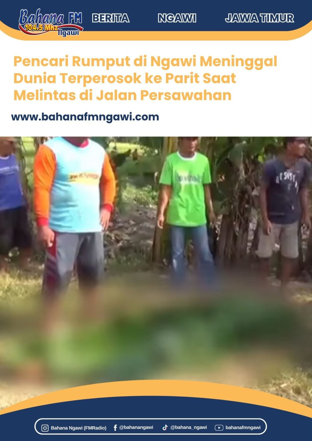 Pencari Rumput di Ngawi Meninggal Dunia Terperosok ke Parit Saat Melintas di Jalan Persawahan