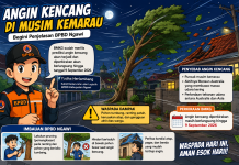 Angin Kencang Melanda Ngawi Saat Kemarau, BPBD Minta Warga Waspadai Pohon Tumbang