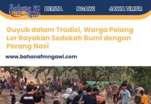 Guyub dalam Tradisi, Warga Pelang Lor Rayakan Sedekah Bumi dengan Perang Nasi