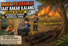 Diduga Terjebak Api Saat Bakar Ilalang, Lansia di Ngawi Ditemukan Hangus Meninggal Dunia